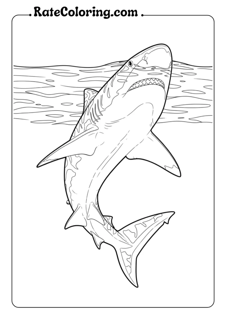 Colorful shark-themed pages for kids to color, featuring playful shark illustrations and designs.