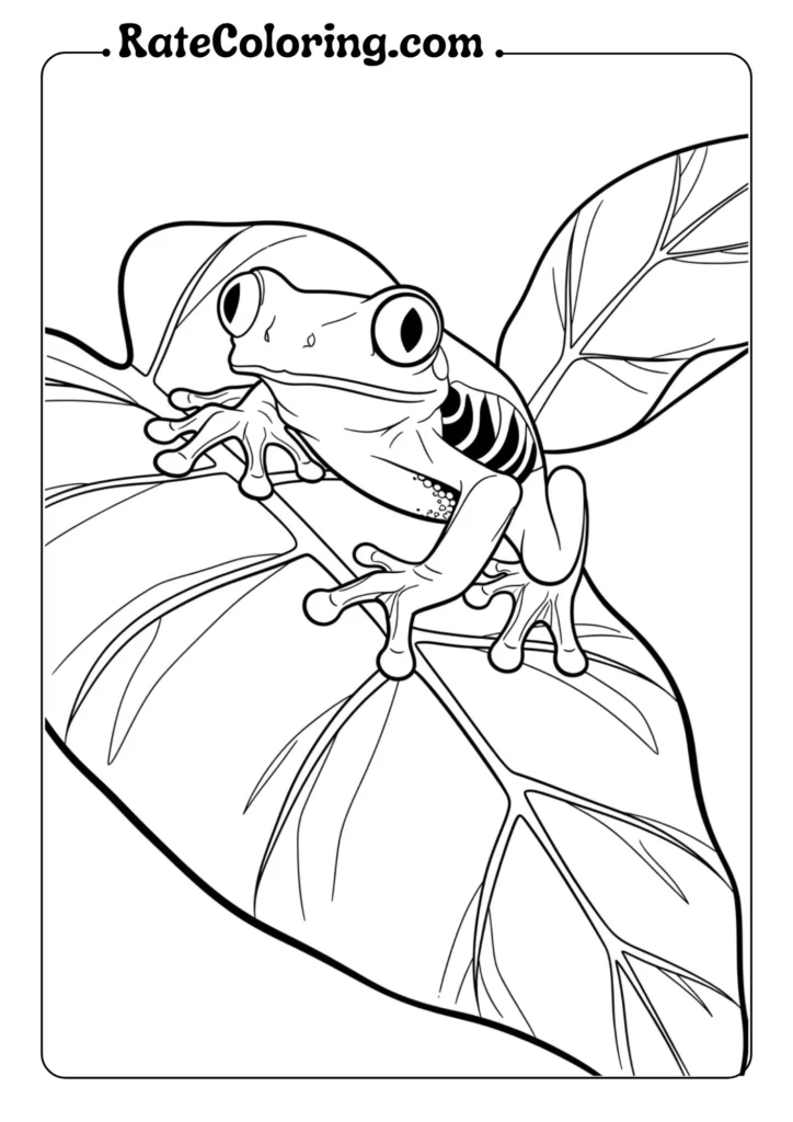 A simple outline drawing of a frog perched on a leaf, ready for coloring.